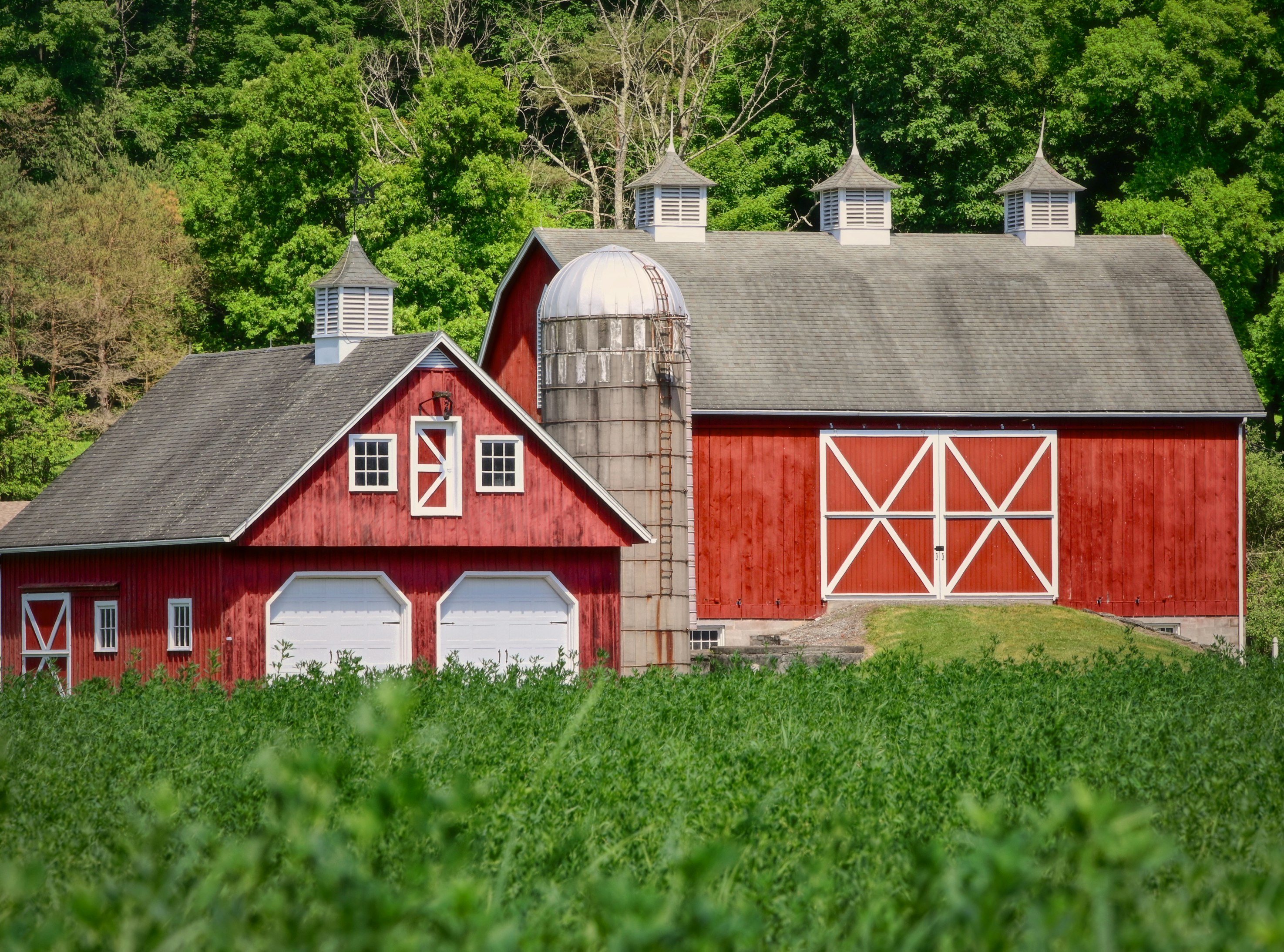 red and white wooden barn house on green grass field